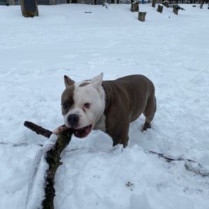 Meet your Posher, Anastasia